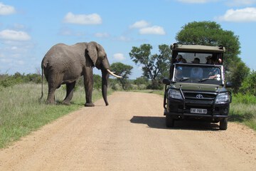 Game drive