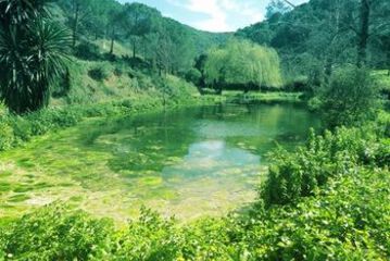 Lake View
