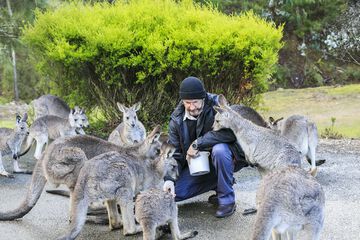 Children's activities