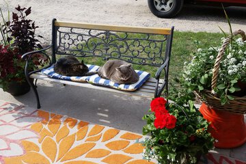 Property Grounds 22 of 25