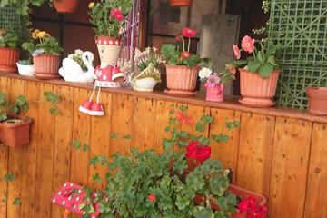 Photo 37