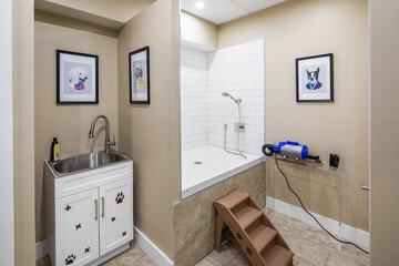 Pet-friendly amenities