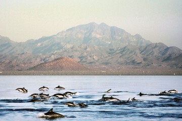 surroundings