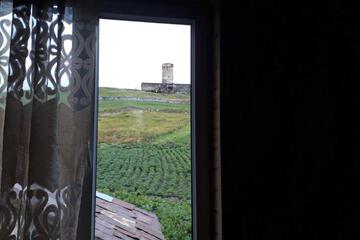 Photo 42