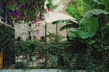Courtyard