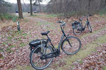 Bicycling