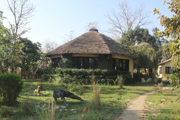 BBQ/picnic area
