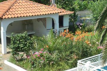 Photo 29