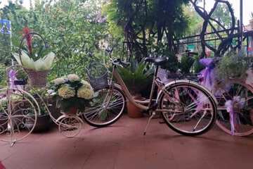 Bicycling