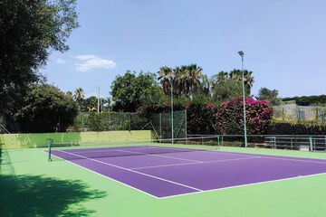Tennis court