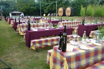 BBQ/picnic area