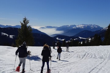 Snowshoeing