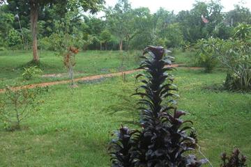 Photo 35
