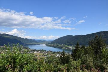 Photo 29