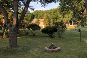 Photo 41