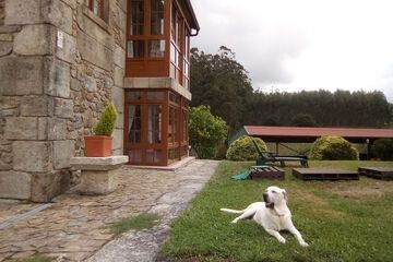 Pet-friendly