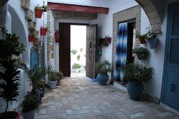 Photo 37