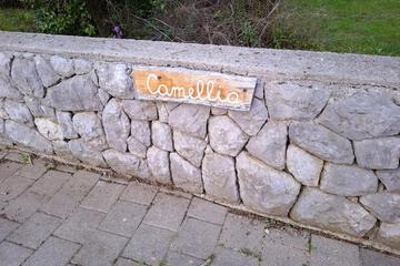 Photo 35