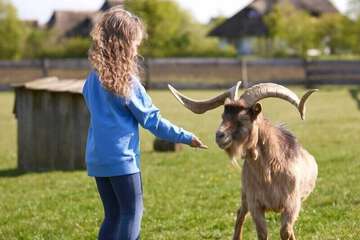 Children's activities