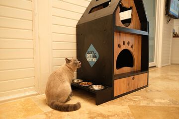 Pet-friendly amenities