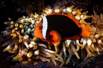 Children's activities