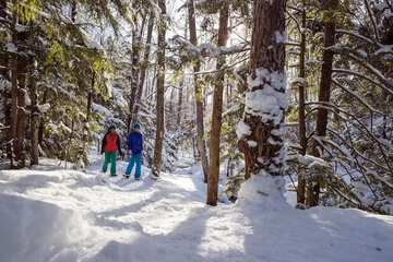 Snowshoeing