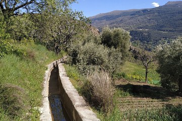 Hiking