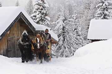 Snow and ski sports