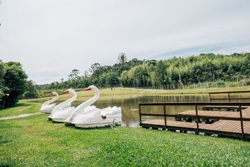 Lake