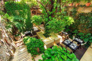 Garden view
