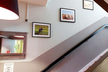 Handrails in stairways
