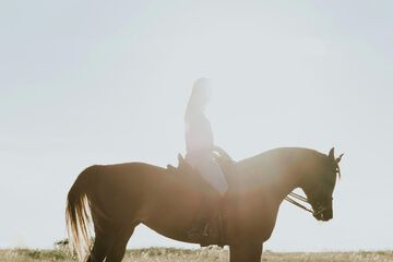 Horseback riding