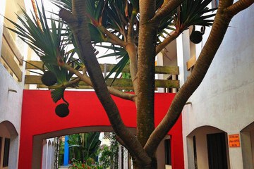 Photo 44