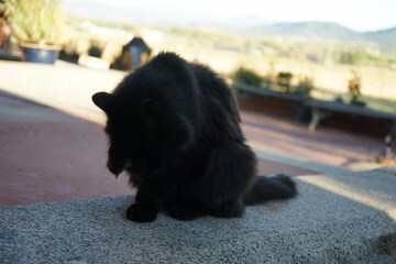 Children's activities