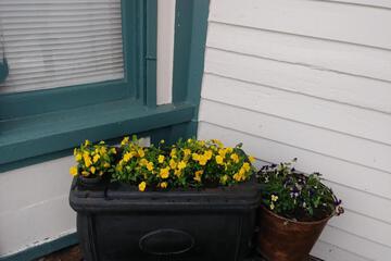 Photo 26