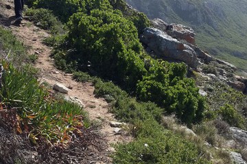 Outdoor rock climbing