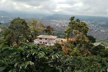 Land view from property