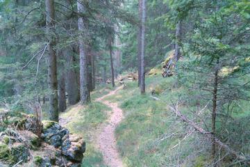 Photo 29