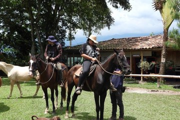 Ecotours