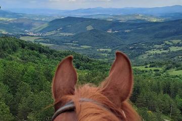 Horseback riding