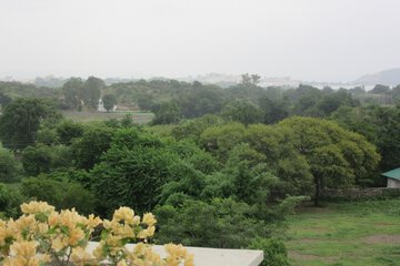 Garden view