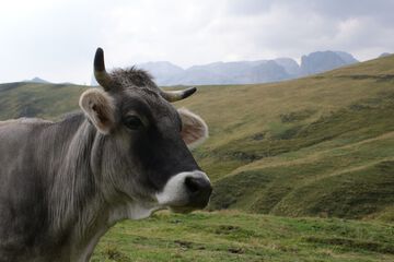 Ecotours