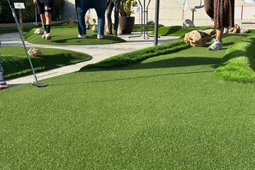 Mini-golf