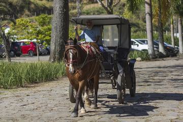 Horseback riding