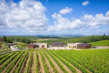 Winery