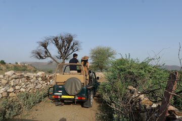 Safari
