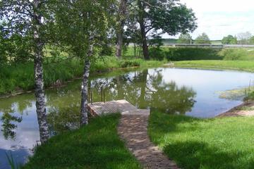 Photo 29