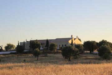 Photo 35