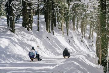 Sledding