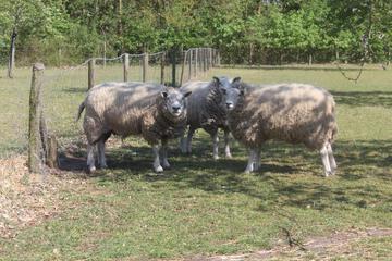 Photo 24